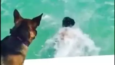 AMATEUR SEXY ARABIC CURVY ASS